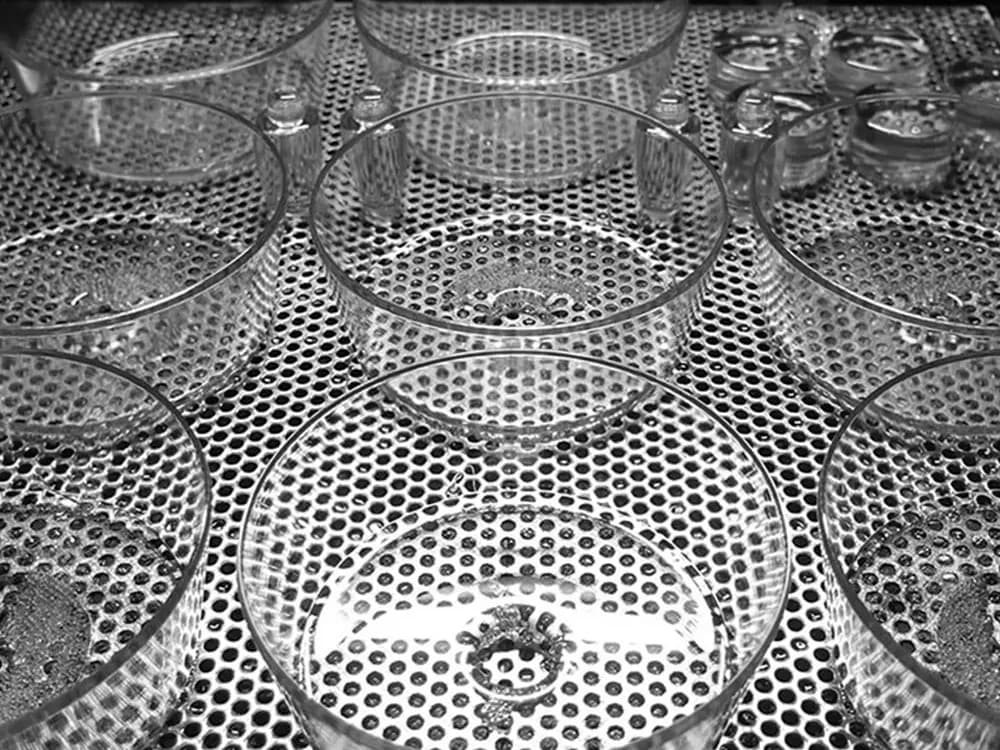 Mehrere transparente Schalen aus Crysplus 1801 auf einem gelochten Blech.